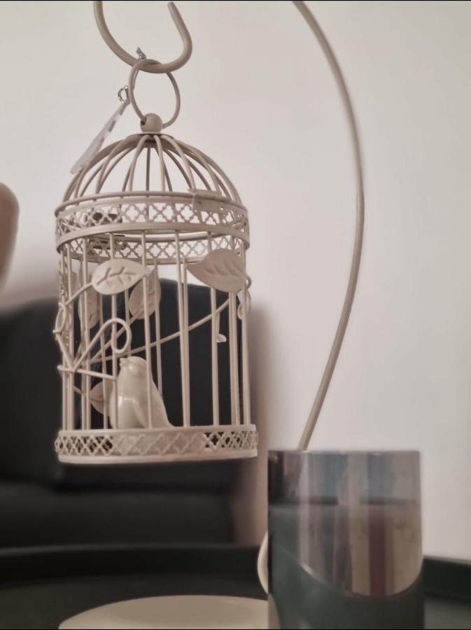 Stella Apartment Sibenik Charm&History United Екстер'єр фото