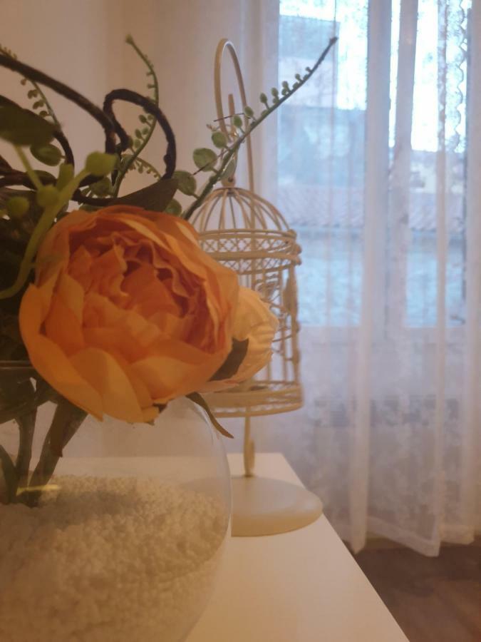 Stella Apartment Sibenik Charm&History United Екстер'єр фото