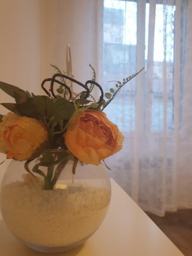Stella Apartment Sibenik Charm&History United Екстер'єр фото